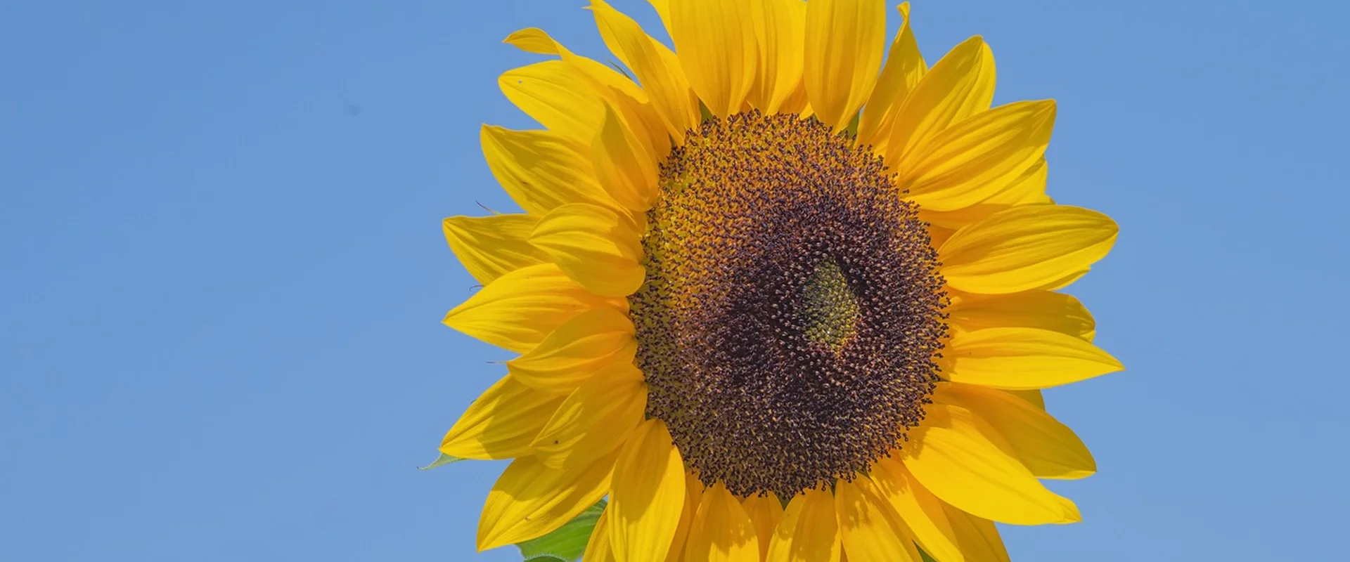 问鼎娱乐娱乐平台